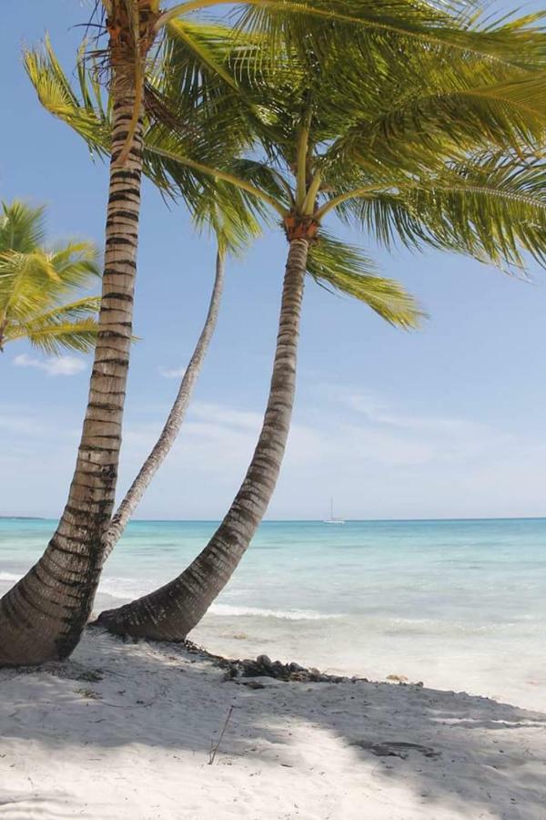 Herard Share Apartamento Punta Cana Ngoại thất bức ảnh